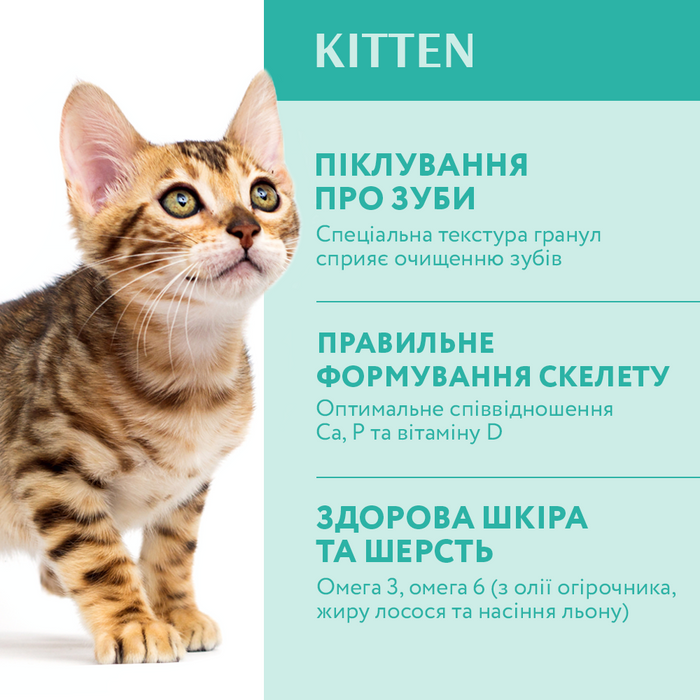 Сухий корм для кошенят Optimeal Kitten Chicken 700 г - курка - masterzoo.ua