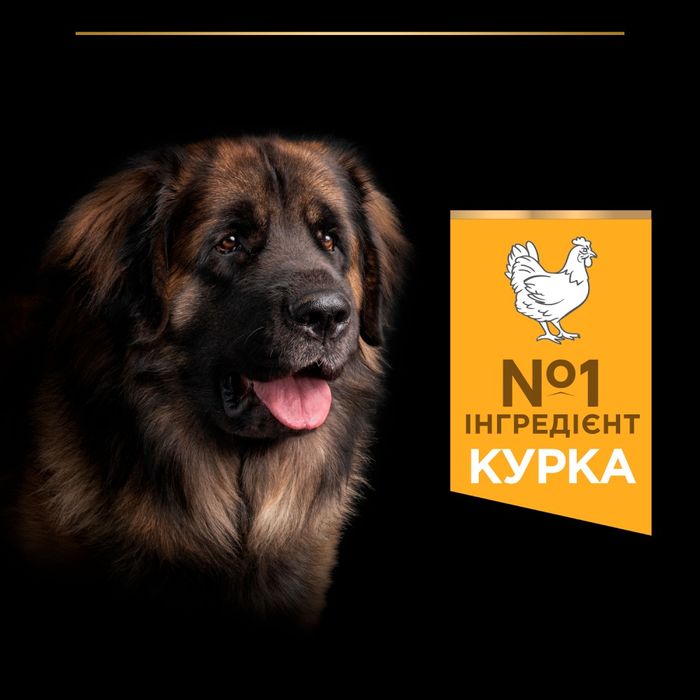 Сухий корм для собак Purina Pro Plan Large Robust Adult 14кг - домашня птиця - masterzoo.ua