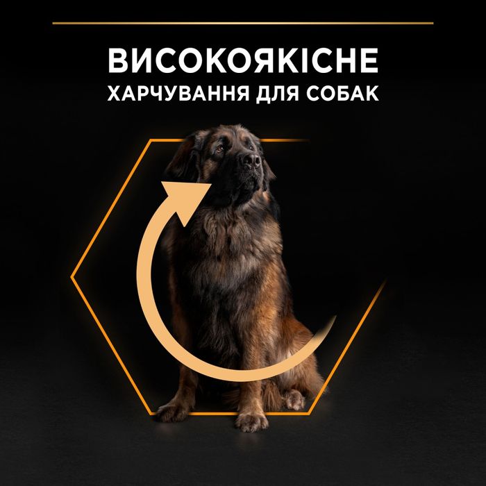 Сухий корм для собак Purina Pro Plan Large Robust Adult 14кг - домашня птиця - masterzoo.ua