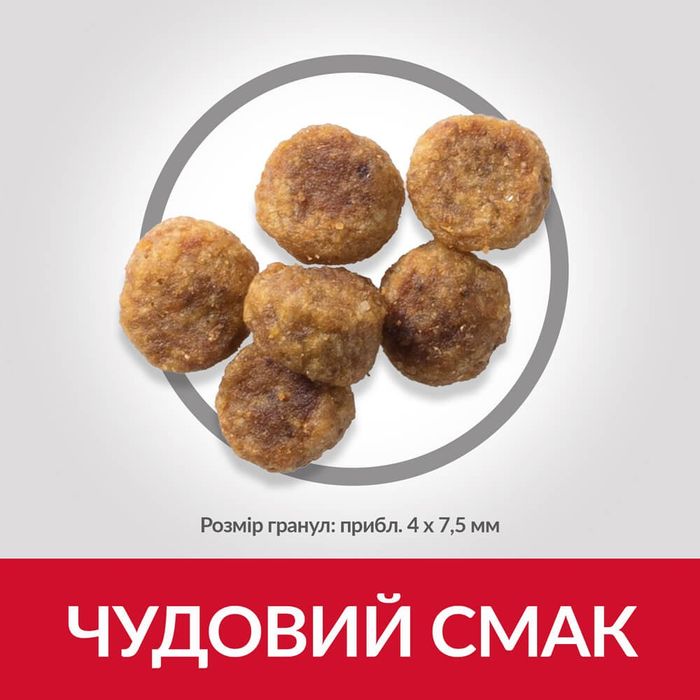 Сухий корм для собак Hill’s Science Plan Adult Small&Mini 6 кг - ягня - masterzoo.ua