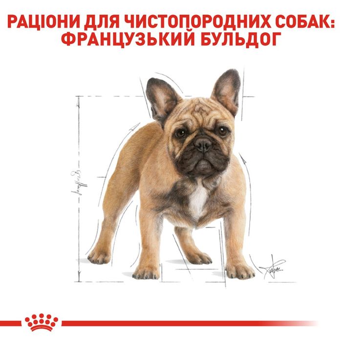 Сухий корм для собак Royal Canin French Bulldog Adult 3 кг - masterzoo.ua