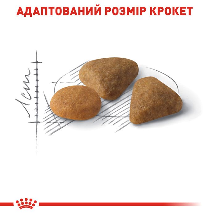 Сухий корм для котів Royal Canin Savour Exigent 4 кг - masterzoo.ua