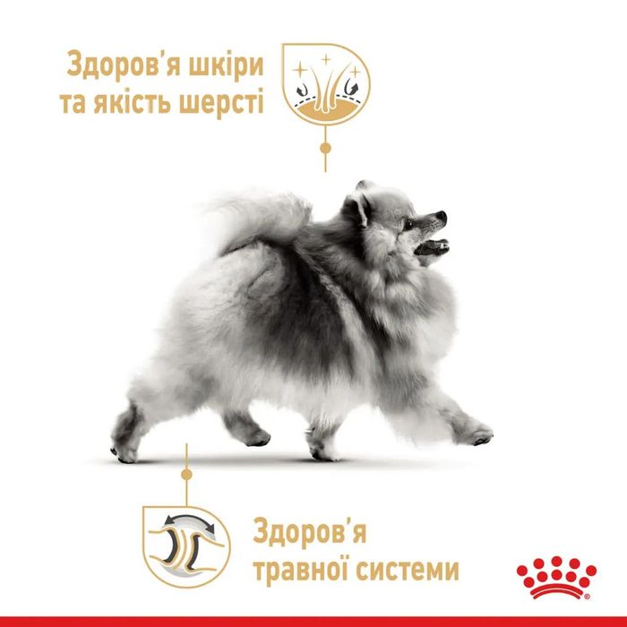 Вологий корм для собак Royal Canin Pomeranian Adult Loaf pouch 85 г - masterzoo.ua