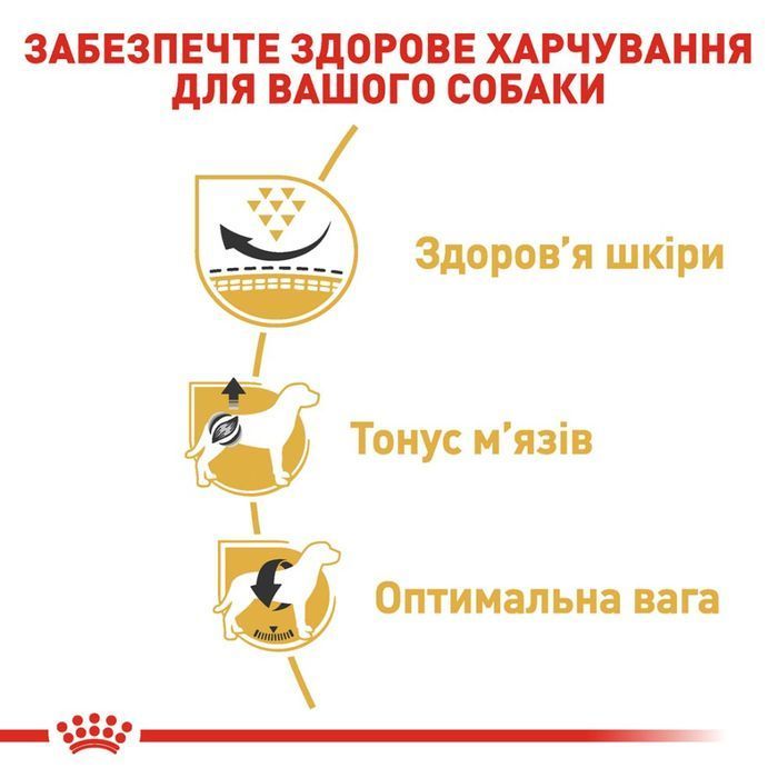 Сухий корм для собак Royal Canin Pug Adult 3 кг - masterzoo.ua