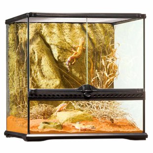 Тераріум Exo Terra скляний «Natural Terrarium» 45 x 45 x 45 см - masterzoo.ua