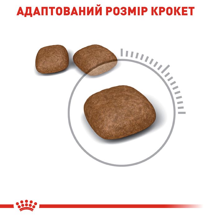 Сухий корм для котів Royal Canin Urinary Care 10 кг - masterzoo.ua