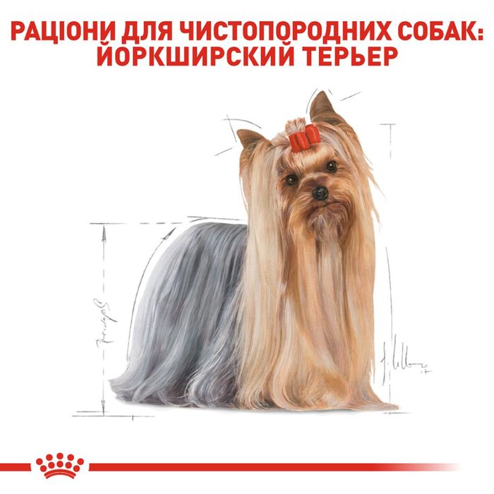 Сухий корм для собак Royal Canin Yorkshire Terrier Adult 1,5 кг - masterzoo.ua