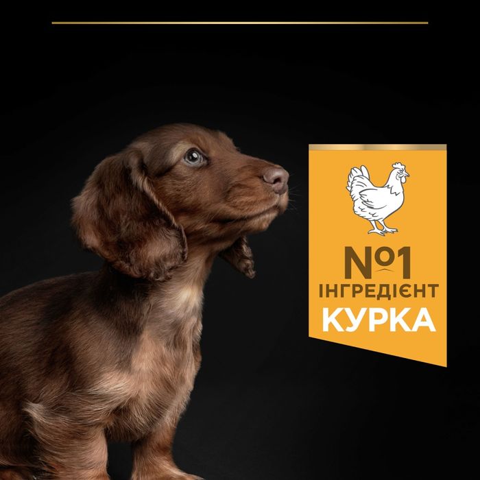 Сухий корм для цуценят та молодих собак Pro Plan Puppy Small & Mini 700 г - курка - masterzoo.ua