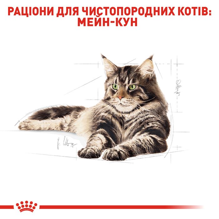 Сухий корм для котів породи мейн-кун Royal Canin Maine Coon Adult 10 кг - masterzoo.ua