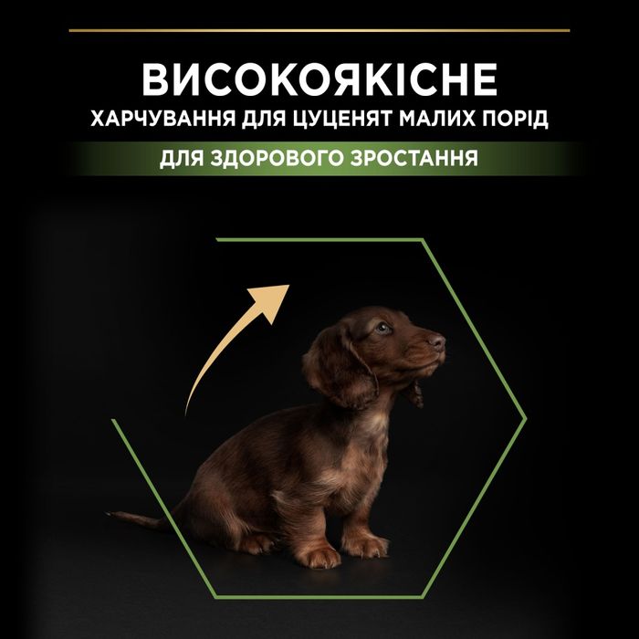 Сухий корм для цуценят та молодих собак Pro Plan Puppy Small & Mini 700 г - курка - masterzoo.ua