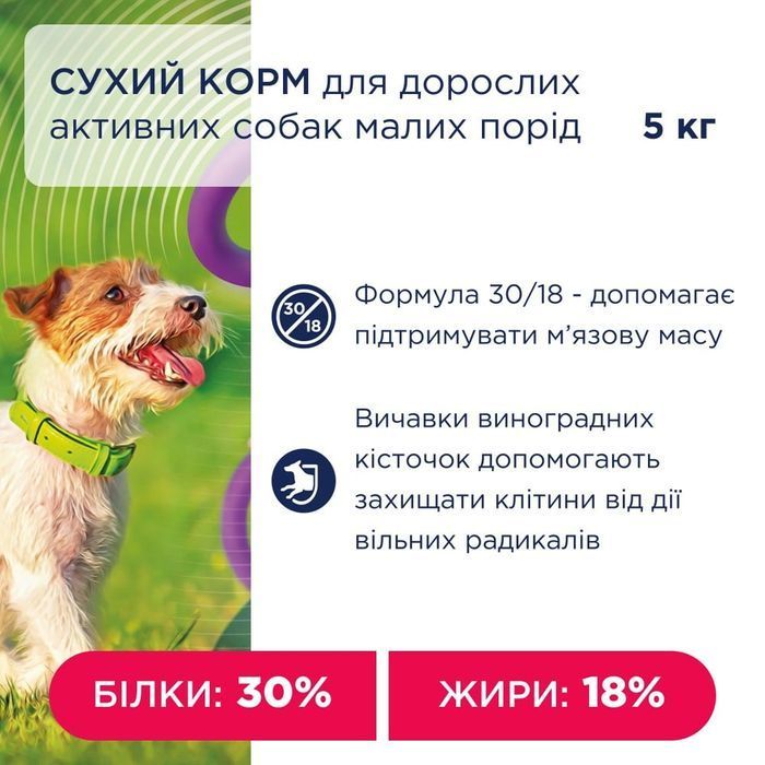 Сухий корм для собак Club 4 Paws Adult Active Small Breeds 5 кг - курка - masterzoo.ua