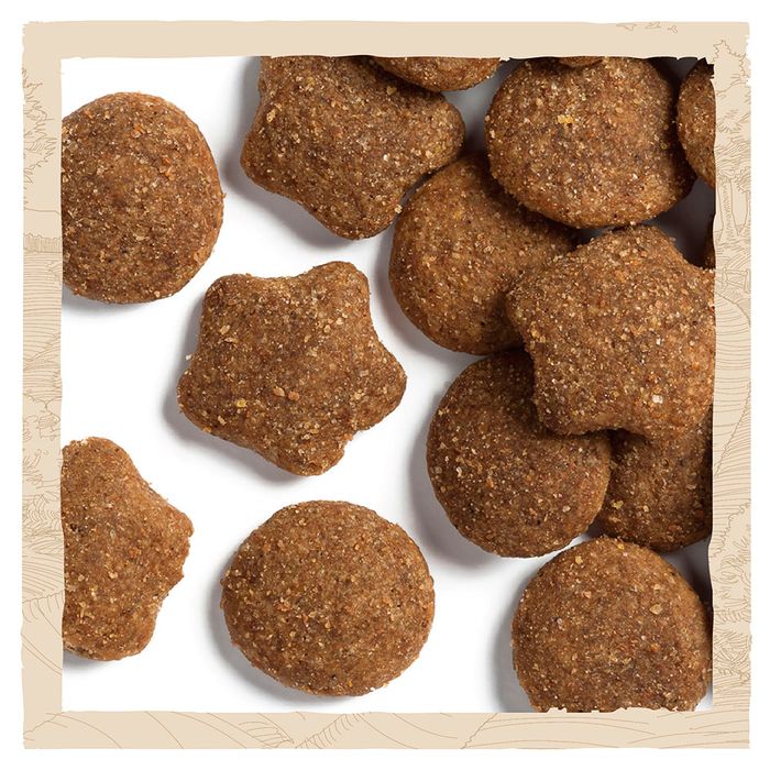 Сухий корм для цуценят та молодих собак великих порід Dog Chow Puppy Large Breed Turkey 14 кг (індичка) - masterzoo.ua