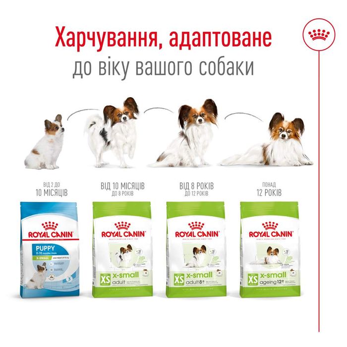 Сухий корм для собак Royal Canin X-Small Adult 1,5 кг - masterzoo.ua