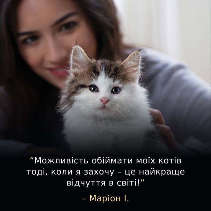 Сухий корм для кошенят ProPlan LiveClear Kitten 1,4 кг - індичка - masterzoo.ua