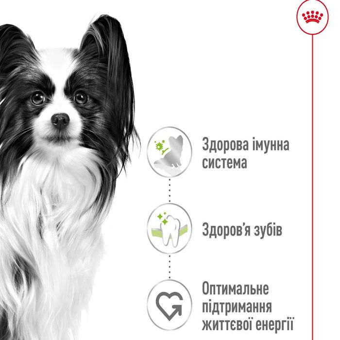 Сухий корм для собак Royal Canin X-Small Adult 1,5 кг - masterzoo.ua