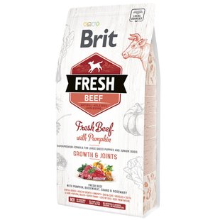 Сухий корм для цуценят та молодих собак великих порід Brit Fresh Beef Pumpkin Puppy Junior Growth & Joints 2,5 кг (яловичина) - masterzoo.ua