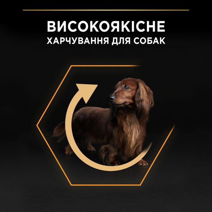 Сухий корм собак Pro Plan Adult Small & Mini 700 г - курка - masterzoo.ua