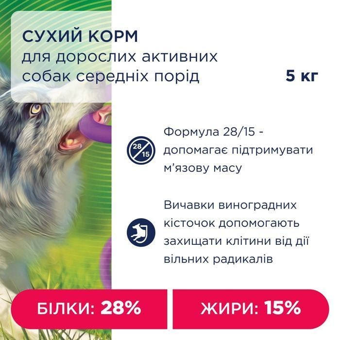 Сухий корм для собак Club 4 Paws Adult Active Medium Breeds 5 кг - курка - masterzoo.ua