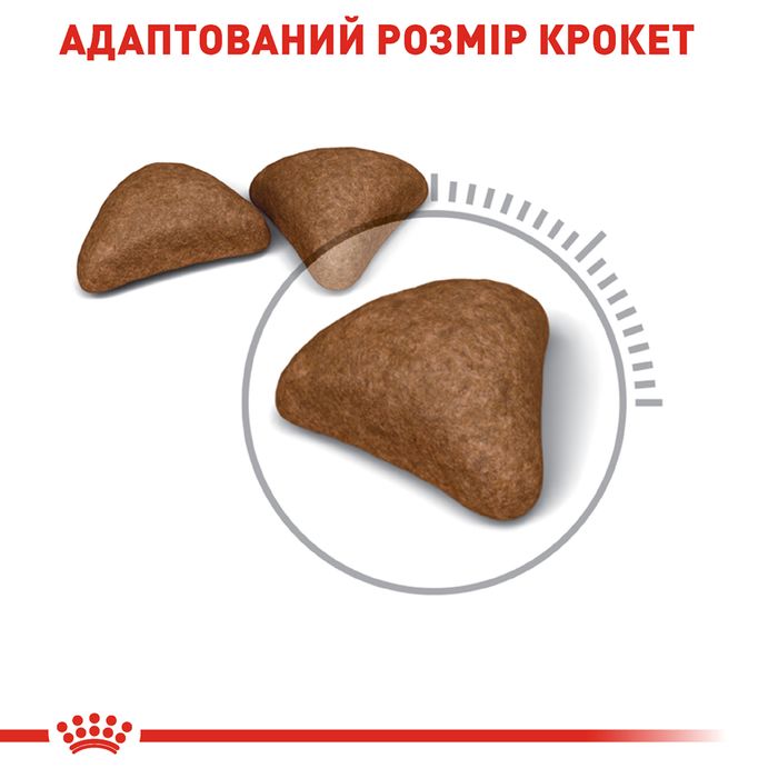 Сухий корм для котів Royal Canin Hairball 34 Care 400 г - masterzoo.ua