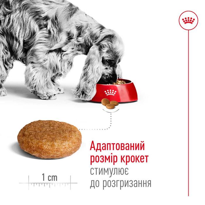 Сухий корм для собак Royal Canin Medium Adult 4 кг - masterzoo.ua