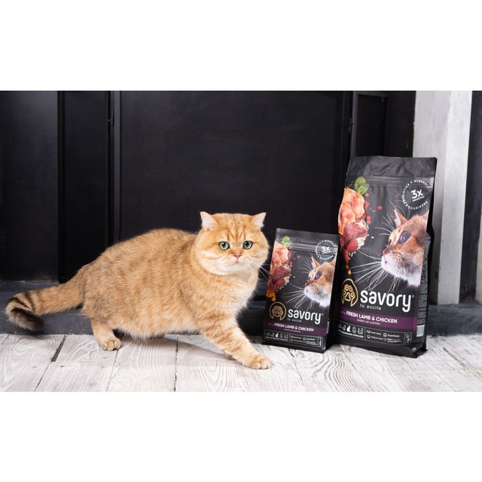 Сухий корм для котів Savory Adult Cat Steril Fresh 400 г - ягня та курка - masterzoo.ua