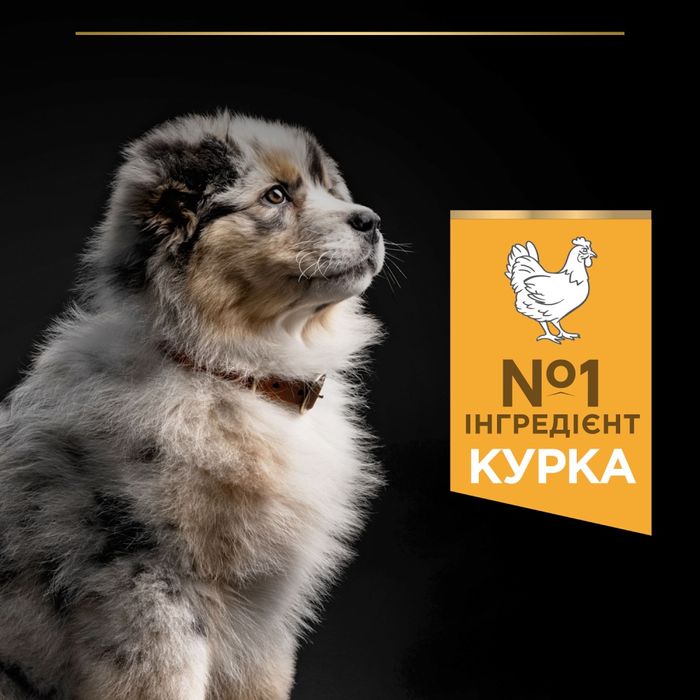 Сухий корм для цуценят та молодих собак Pro Plan Puppy Medium 12 кг - курка - masterzoo.ua