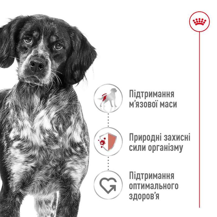 Сухий корм для собак Royal Canin Medium Adult 4 кг - masterzoo.ua