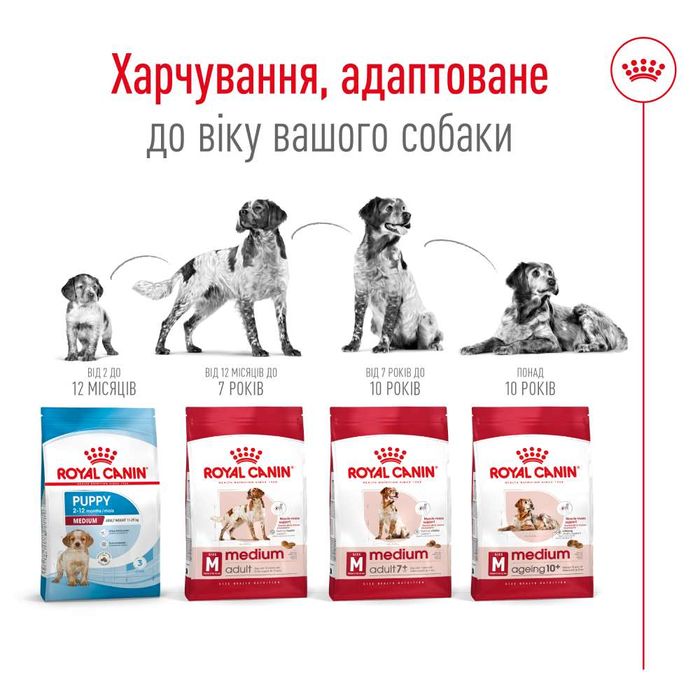 Сухий корм для собак Royal Canin Medium Adult 4 кг - masterzoo.ua