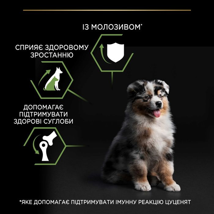 Сухий корм для цуценят та молодих собак Pro Plan Puppy Medium 12 кг - курка - masterzoo.ua