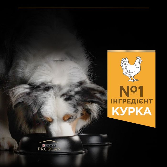 Сухий корм для собак Pro Plan Adult Medium 3 кг - курка - masterzoo.ua