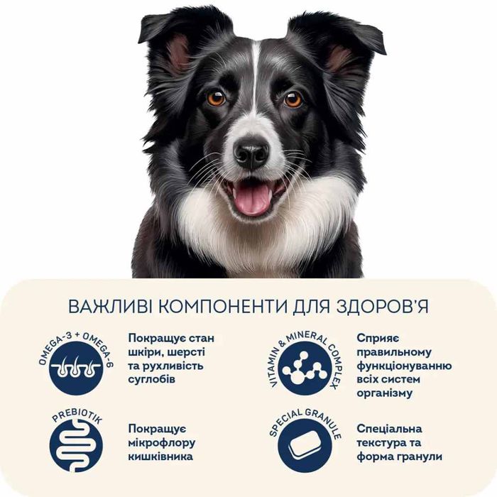 Сухий корм для собак Home Food Adult Medium/Maxi 1,6 кг - ягня та рис - masterzoo.ua