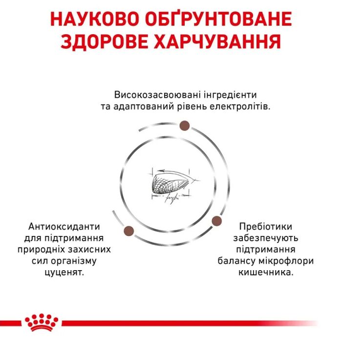 Сухий корм для цуценят Royal Canin Gastrointestinal 1 кг - masterzoo.ua