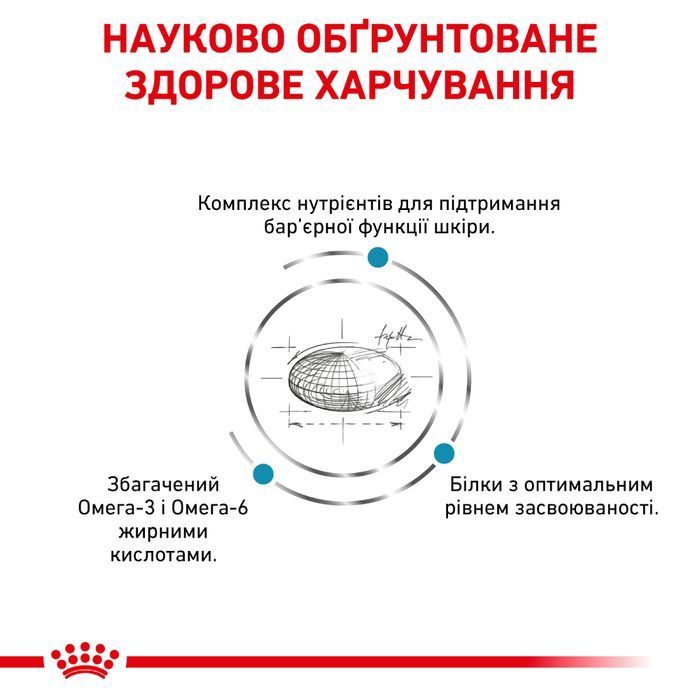 Royal Canin Skin Care сухий корм для собак 2 кг - masterzoo.ua