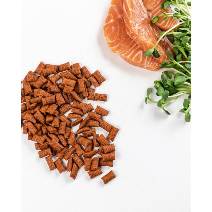 Ласощі для котів Savory Snack Salmon 60 г - подушечки з лососем - masterzoo.ua