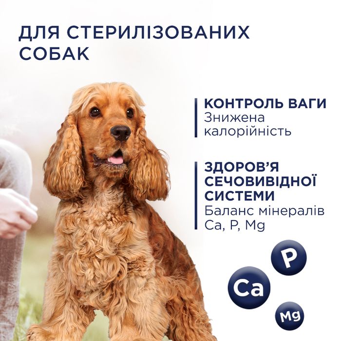 Сухий корм для собак Club 4 Paws Premium Adult Medium & Large Breeds Light 5 кг - індичка - masterzoo.ua