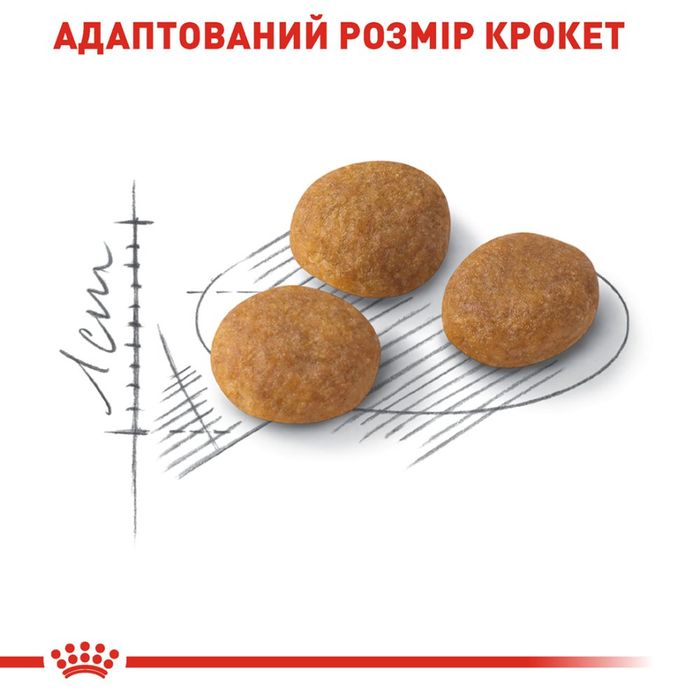 Сухий корм для котів Royal Canin Exigent Aromatic 2 кг - masterzoo.ua